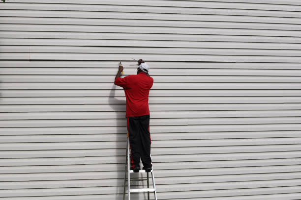 Best Brick Veneer Siding  in Kingston, TN