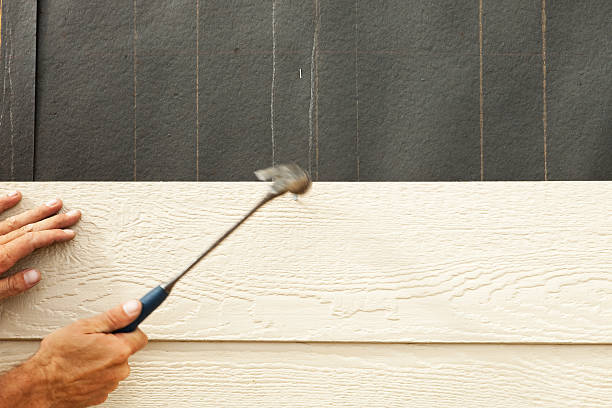 Best Vinyl Siding Installation  in Kingston, TN